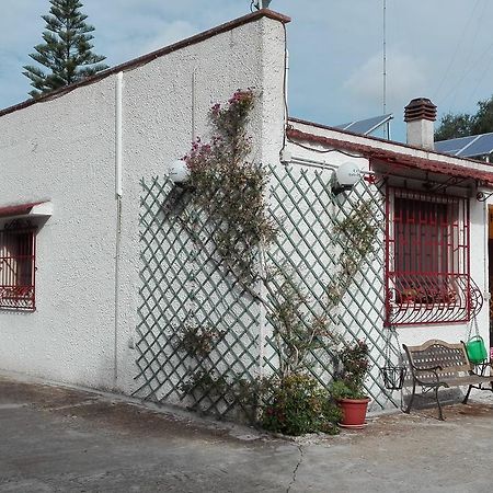 B&B Villa Lucia Mesagne Kültér fotó