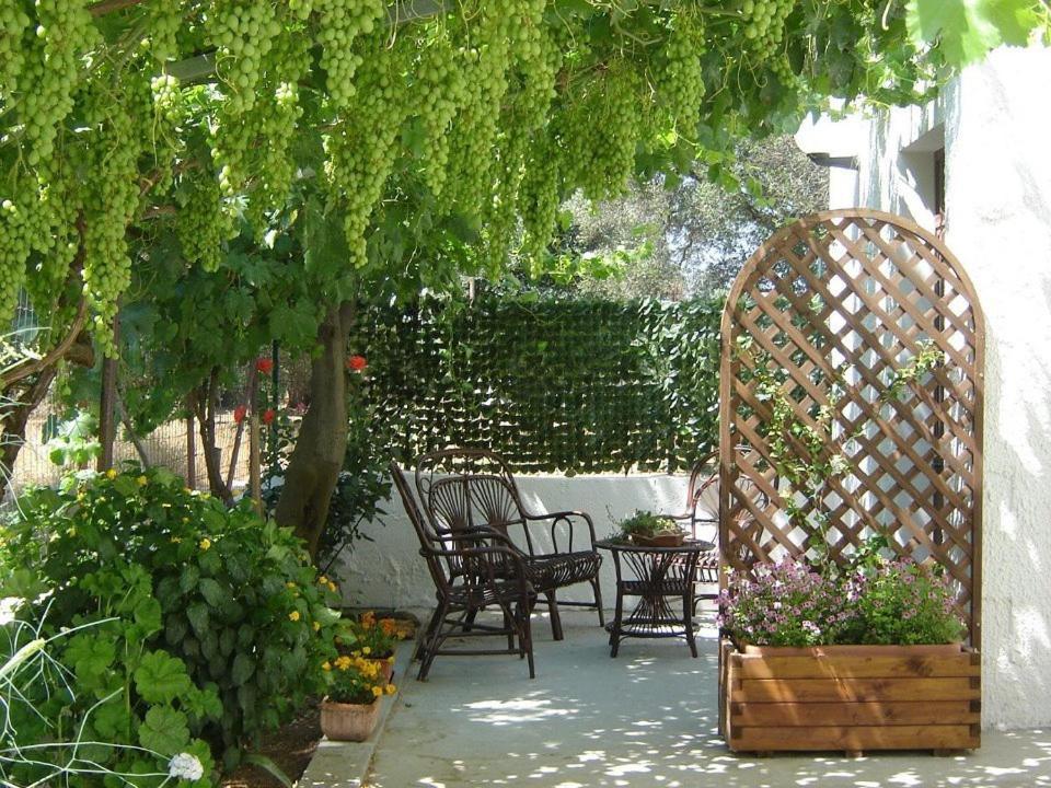 B&B Villa Lucia Mesagne Kültér fotó