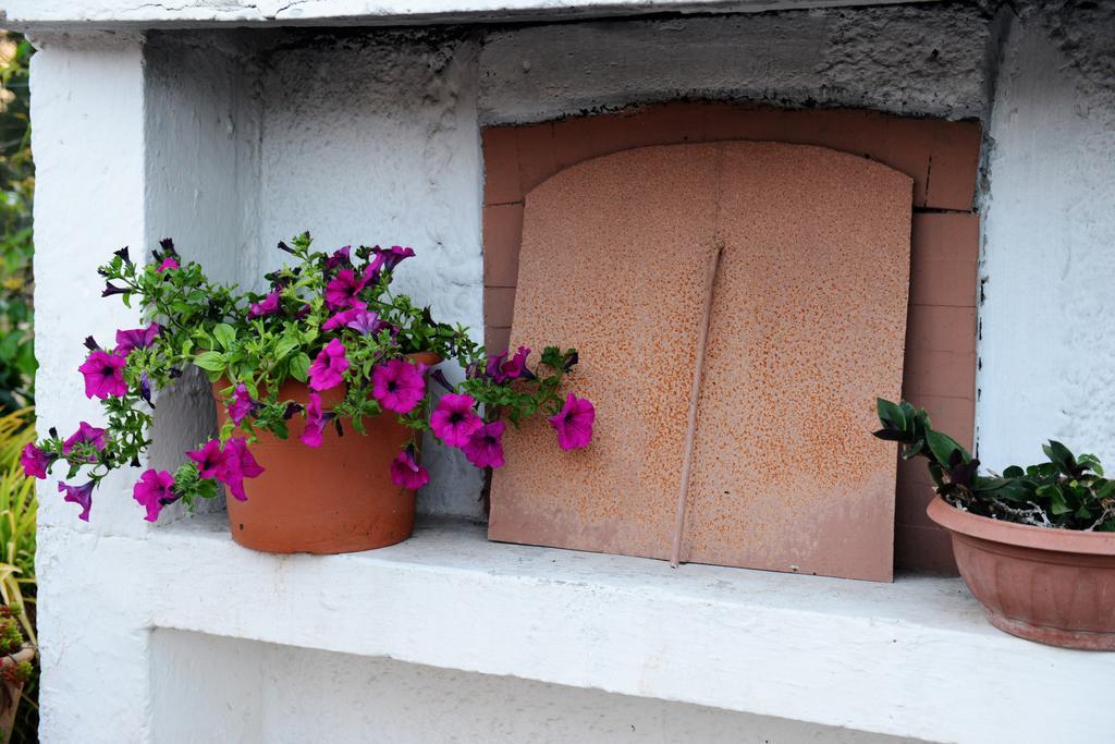 B&B Villa Lucia Mesagne Kültér fotó