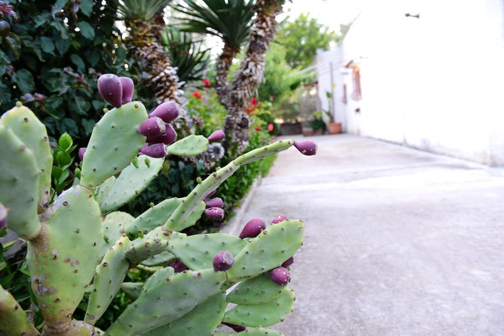 B&B Villa Lucia Mesagne Kültér fotó