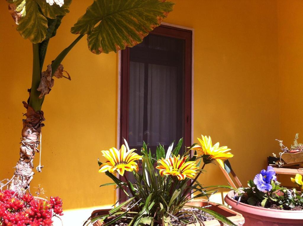 B&B Villa Lucia Mesagne Kültér fotó