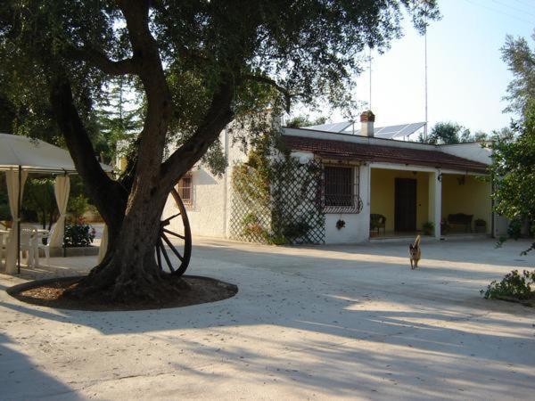 B&B Villa Lucia Mesagne Kültér fotó